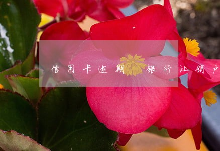 信用卡逾期 银行让销户 信用卡逾期 银行让销户